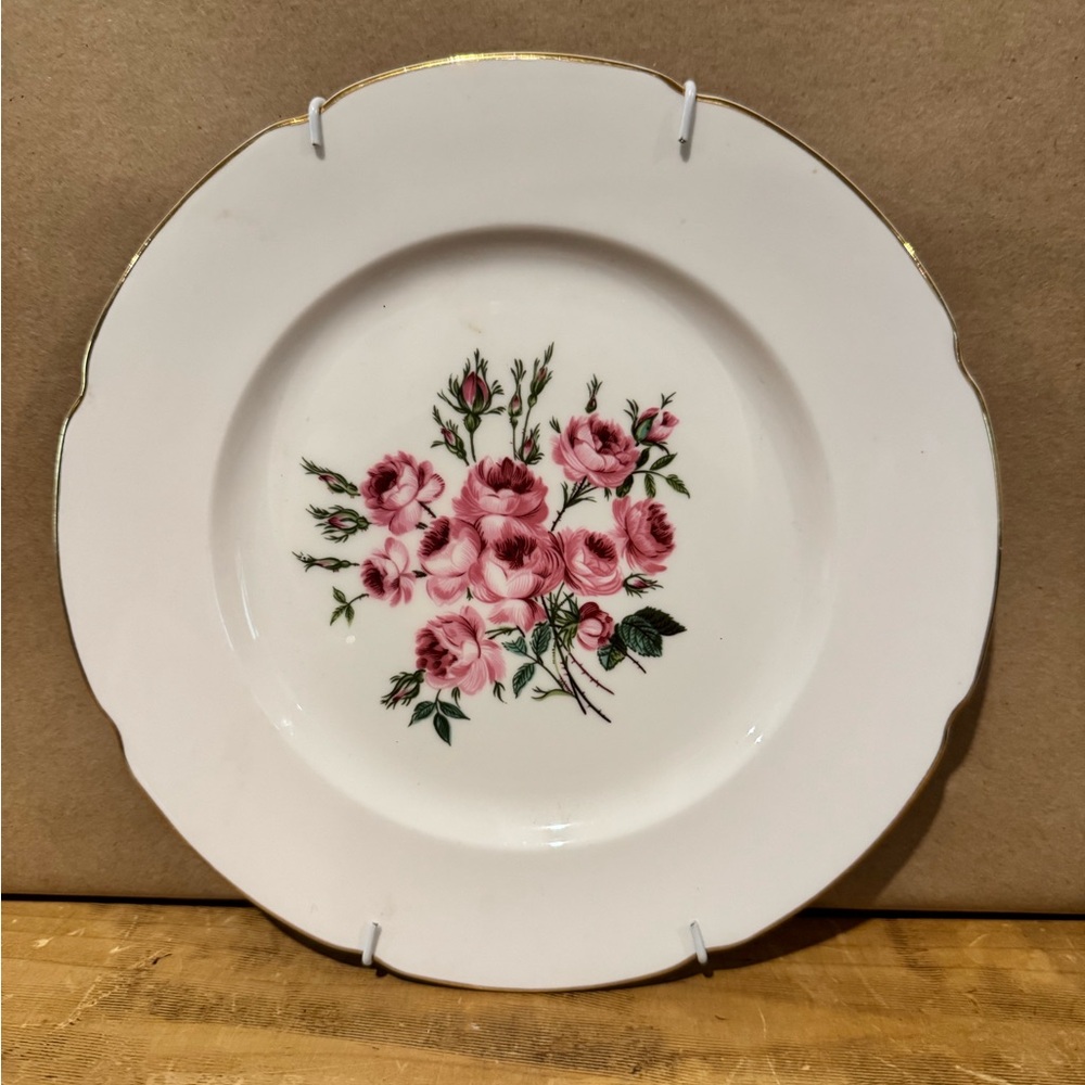 Baum Brothers Dinnerware Maria Pattern Dinner Plate 10 3/4"